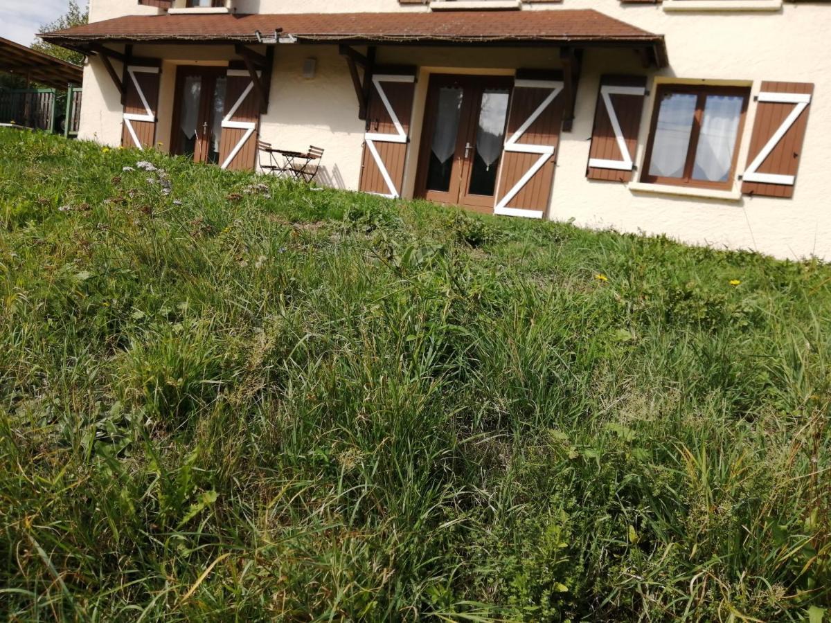 Au P'tit Bonheur Vosgien Holiday home *