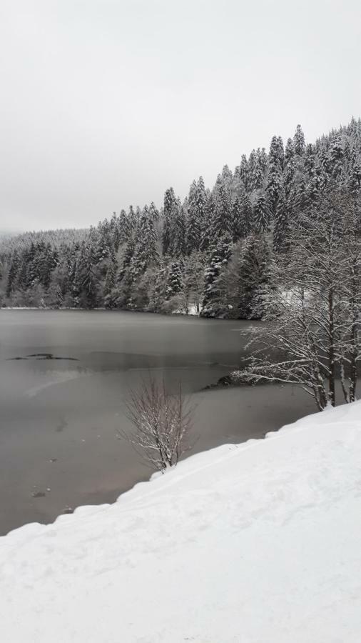 Holiday home Au P'tit Bonheur Vosgien *